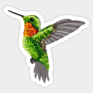 Hummingbird Sticker